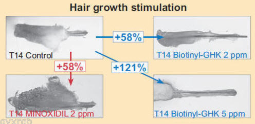 Pure Procapil hair growth peptide additive for mixing with cream or serum