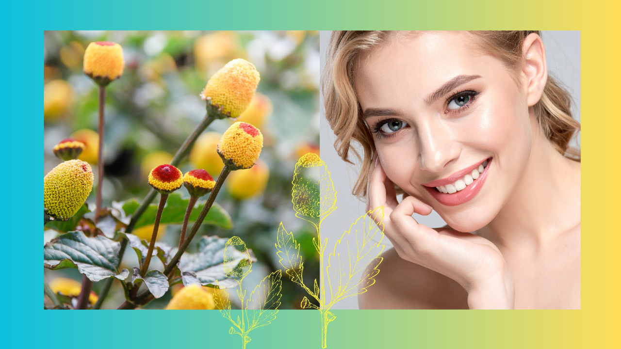 Pure Gatuline peptide additive for mixing cream or serum