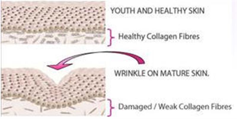 /Pure Argirelox peptide additive for mixing cream or serum