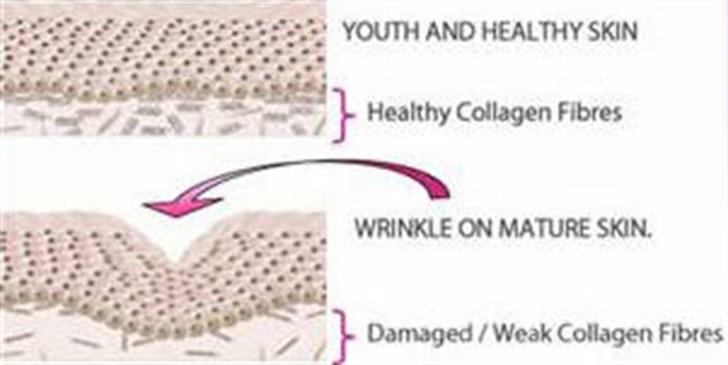 /Anti Aging Cream with Marine Collagen, Decorinyl And Tripeptide-29